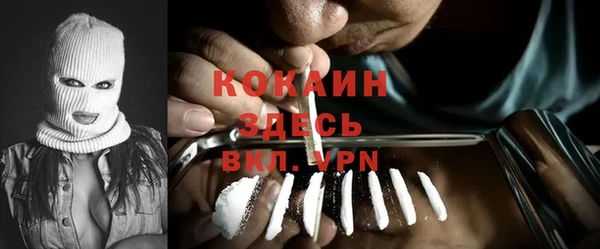 стафф Алексин