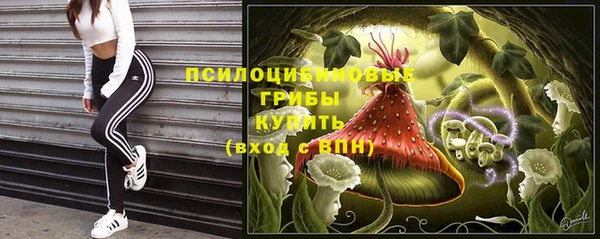 крисы Армянск